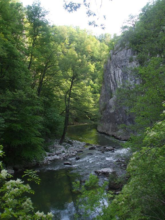 Osterija Na Planinci Bed & Breakfast Divača Rom bilde