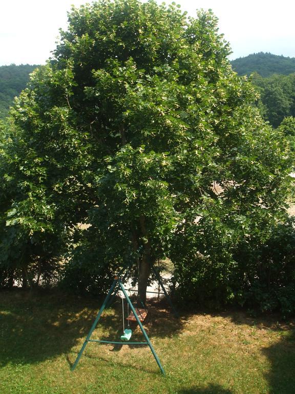 Osterija Na Planinci Bed & Breakfast Divača Eksteriør bilde